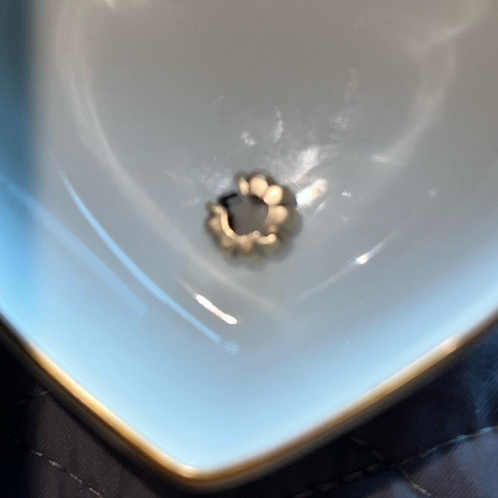 pandora clip